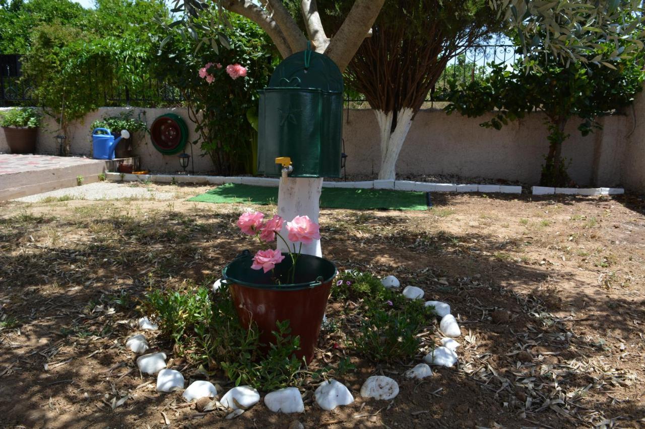 Green House נאפפליו מראה חיצוני תמונה